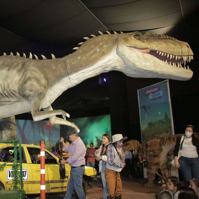 El tour de dinosaurios y dragones más grande de Latinoamérica abrirá sus puertas este sábado en Comfenalco Guayabal 