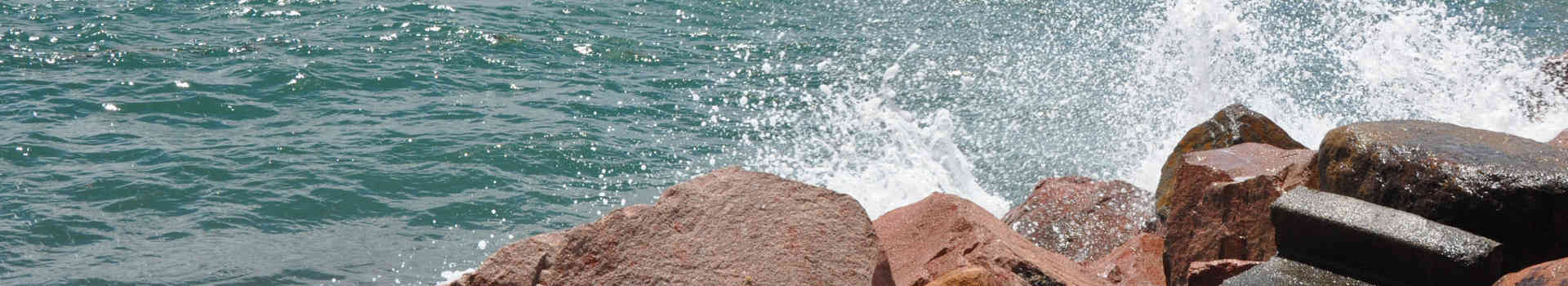 Brightest Minds. Hottest Topics.