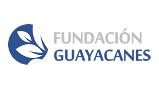 FUNDACION DE GUAYACANES