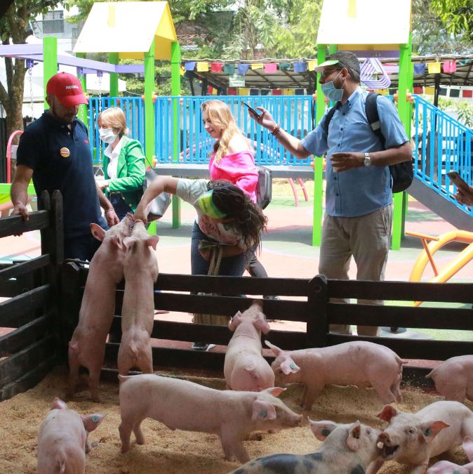 Panaca Viajero llega con el Mundo Agropecuario al Parque Club Comfenalco Guayabal