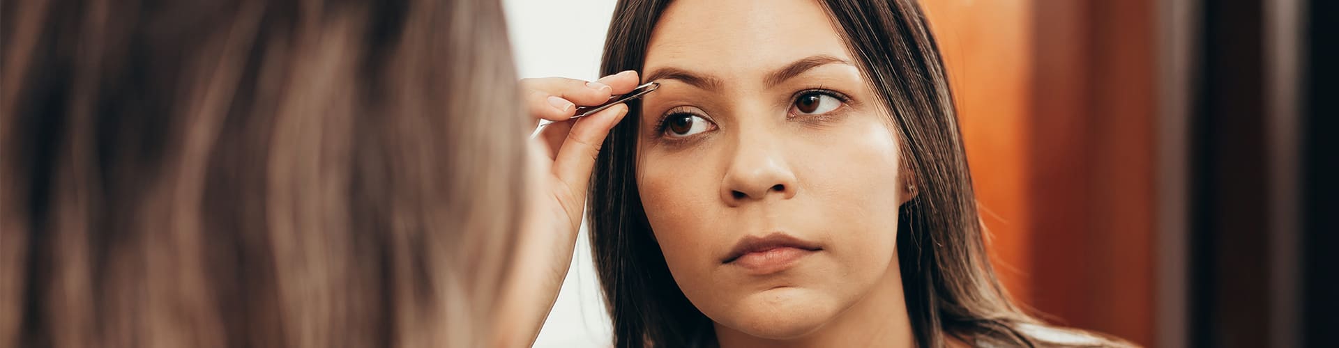 Seminario de Cejas